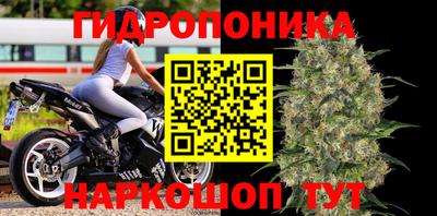 синтетический гашиш Будённовск